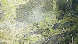 acastle
                          103550.jpg